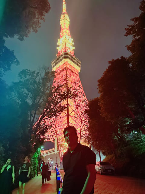 Tokyo full day private tour with Guide - Meiji Shrine: a quiet break in the city