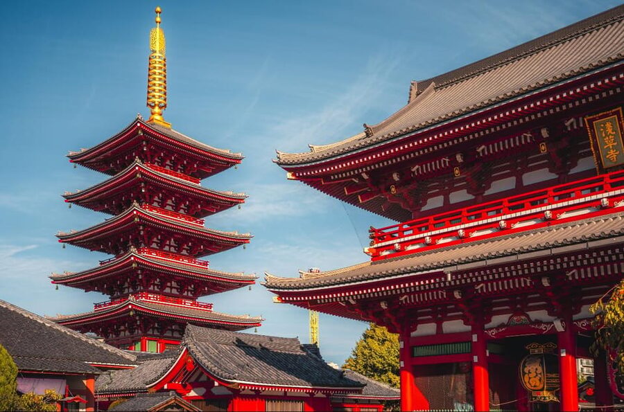Tokyo full day Spanish speaking tour with hotel pick up and drop off. - A full day that shows Tokyo’s many sides