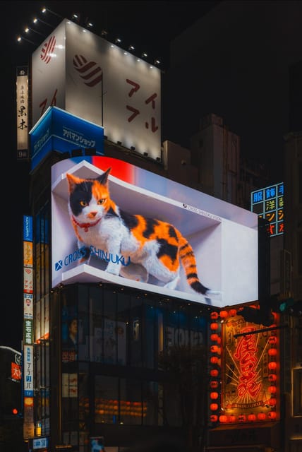 Tokyo full day Spanish speaking tour with hotel pick up and drop off. - Akihabara, where Tokyo goes proudly nerdy