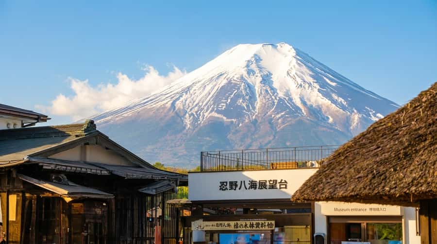 Tokyo: Full-Day Tour of the Six Majestic Spots of Mt Fuji - Six useful things to know before booking