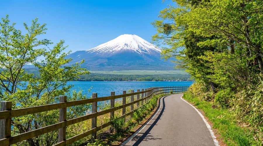 Tokyo: Full-Day Tour of the Six Majestic Spots of Mt Fuji - Higashikawa Clock Shop creates a Fuji road illusion
