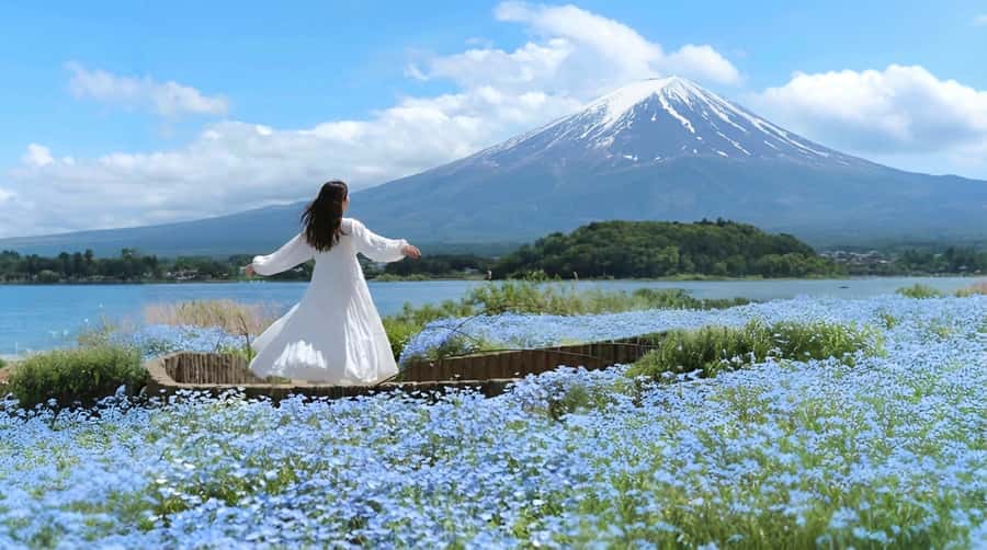 Tokyo: Full-Day Tour of the Six Majestic Spots of Mt Fuji - Oshino Hakkai adds clear springs and village character