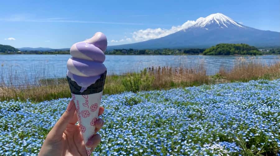 Tokyo: Full-Day Tour of the Six Majestic Spots of Mt Fuji - Weather is the tour’s biggest risk
