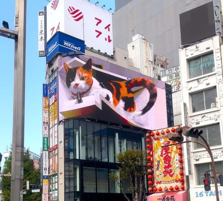 Tokyo: Gotokuji Cat Temple, Shinjuku Cat Cafe & 3D Cat Tour - Browsing Gotokuji’s local shopping street