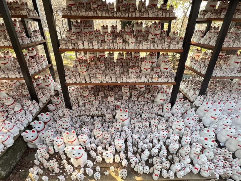 Tokyo: Gotokuji Culture Walk & Lucky Cat Temple Experience - Practical tips for a smoother visit