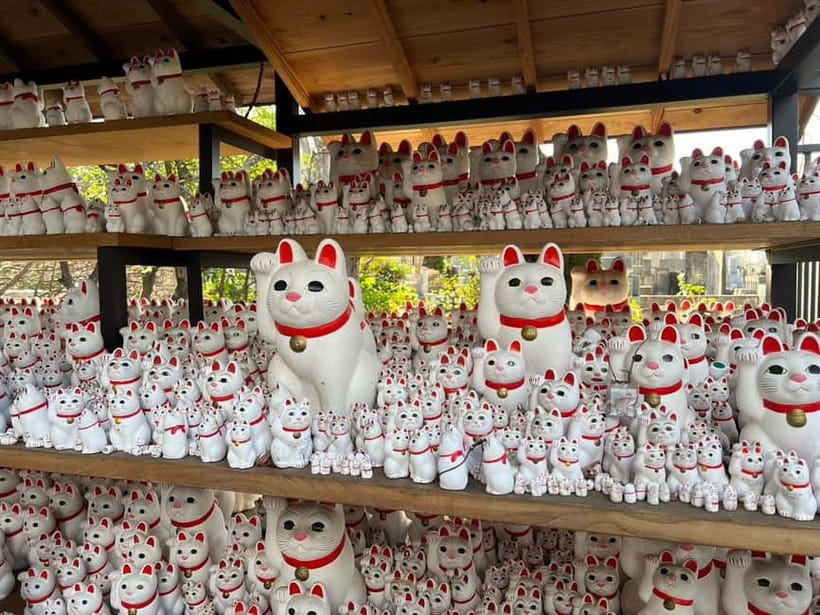 Tokyo: Gotokuji Culture Walk & Lucky Cat Temple Experience - The first 15 minutes: seeing the temple and its cats