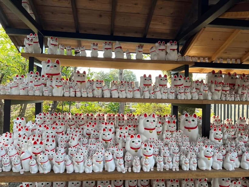 Tokyo: Gotokuji Culture Walk & Lucky Cat Temple Experience - The cat-shaped sweet and incense activity