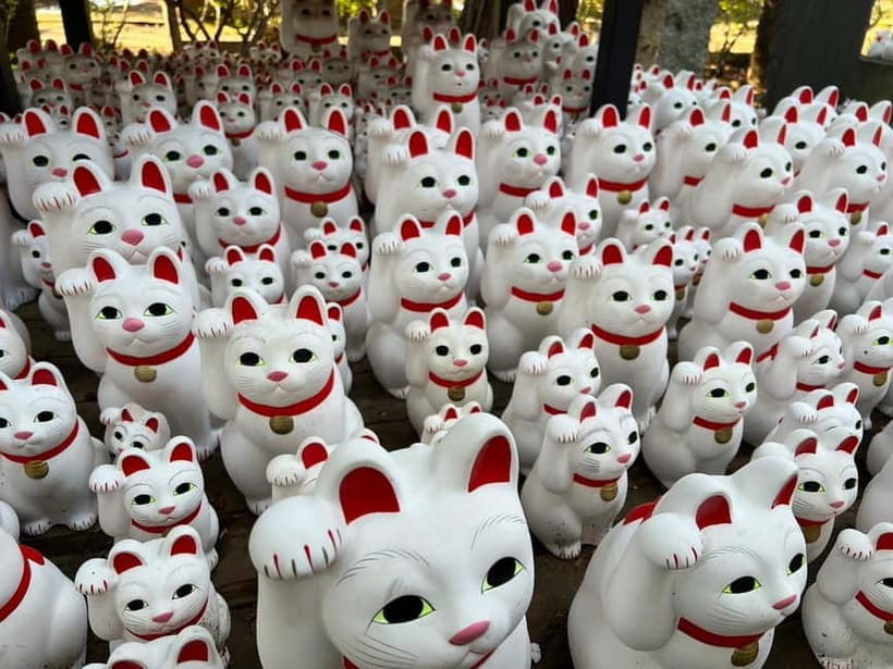 Tokyo: Gotokuji Culture Walk & Lucky Cat Temple Experience - Meeting at Gotokuji Station