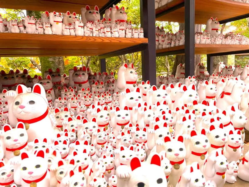 Tokyo: Gotokuji Lucky Cat Temple & Harajuku Cat Cafe Tour - Meeting the lucky cats at Gotokuji Temple