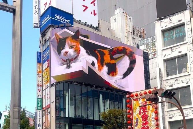 Tokyo: Gotokuji Lucky Cat Temple, Shinjuku Cat Cafe, 3D Giant Cat - Thirty minutes at Cat Cafe MOCHA Lounge