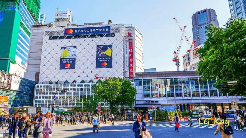 Tokyo: Guided Exploration with a Private Driver - What a private Tokyo day can realistically cover