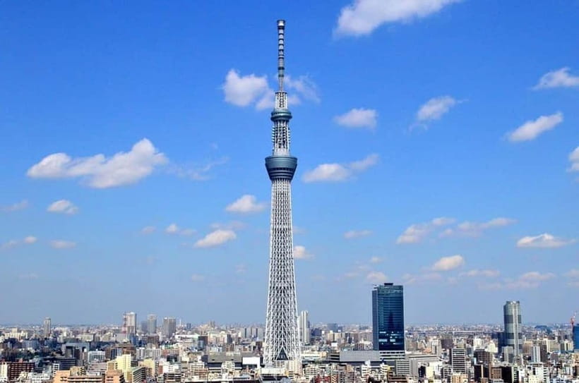Tokyo: Guided Exploration with a Private Driver - Pickup from Tokyo or Hakone
