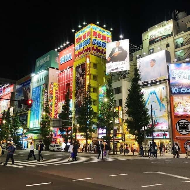 Tokyo: Guided Exploration with a Private Driver - Akihabara, electronics, games, and a short walk