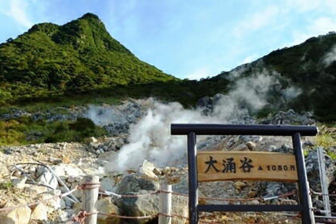 Tokyo: Hakone Fuji Day Tour w/ Cruise, Cable Car, Volcano - Owakudani and the famous black egg