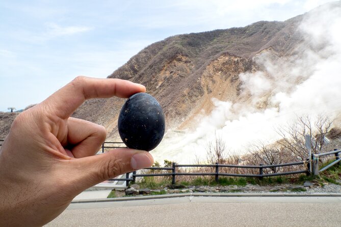 Tokyo Hakone : Mt.Fuji, Owakudani, Open Air Museum, Hakone Shrine - Why this Hakone day trip works from Tokyo
