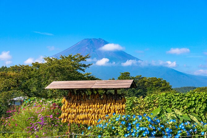 Tokyo Hakone : Mt.Fuji, Owakudani, Open Air Museum, Hakone Shrine - Hakone Shrine and the Torii of Peace