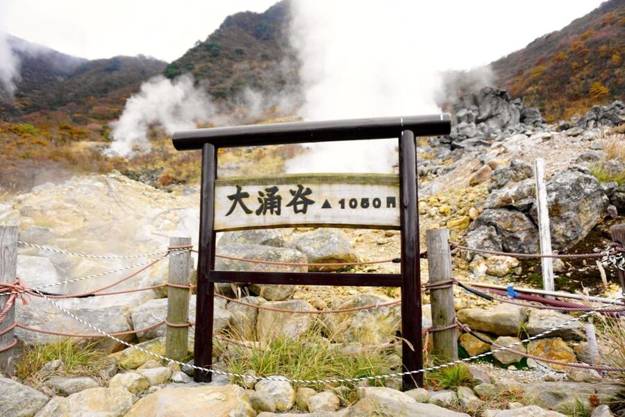 tokyo:Hakone Owakudani & Gotemba Premium Outlet 1d Tour - Should you book this Hakone day trip?