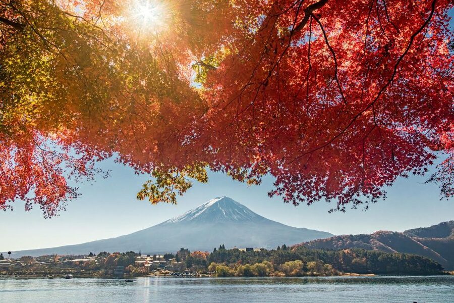 tokyo:Hakone Owakudani & Gotemba Premium Outlet 1d Tour - Who will get the most from this day