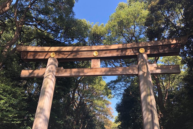 Tokyo Half-day Customized Private Tour - A private way to get your Tokyo bearings
