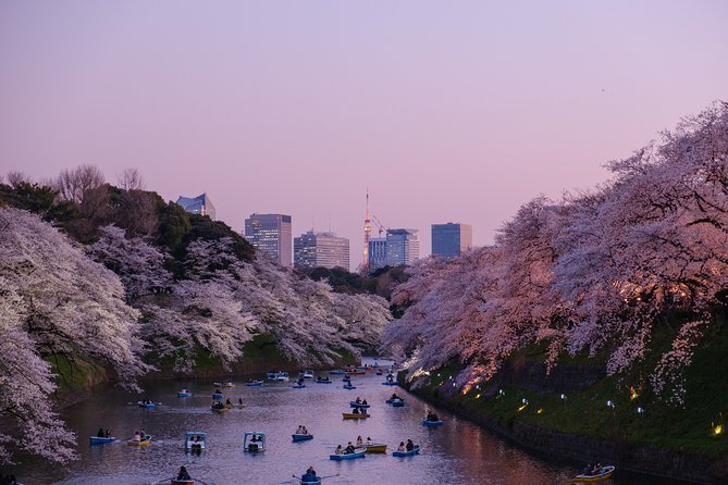 Tokyo Half-day Customized Private Tour - Practical planning before you book