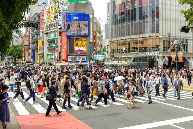 Tokyo Half-day Customized Private Tour - Should you book the Tokyo half-day tour?