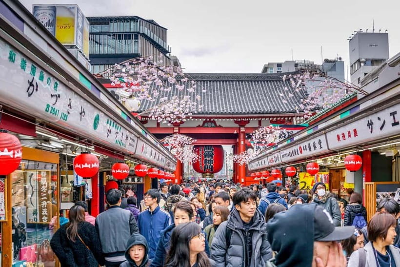 Tokyo: Half-Day Morning Small Group Tour - The 30-minute transfer to Asakusa