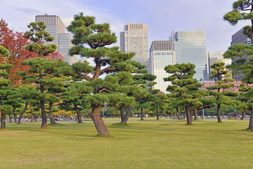 Tokyo: Half-Day Morning Small Group Tour - Reliability deserves careful attention