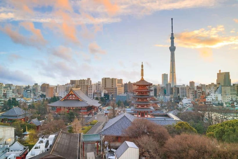 Tokyo: Half-Day Morning Small Group Tour - Who will get the most from this morning tour?