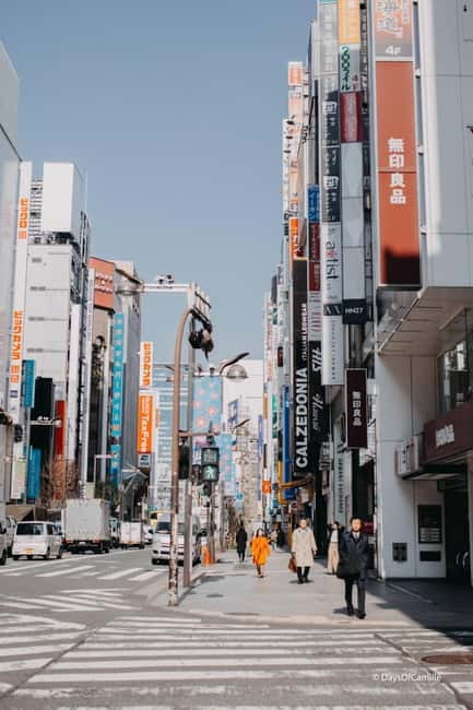 Tokyo, half day : private tour with an expert ! - Meiji Shrine and the forest inside the city