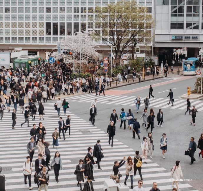 Tokyo, half day : private tour with an expert ! - Shibuya Crossing and the value of a private guide