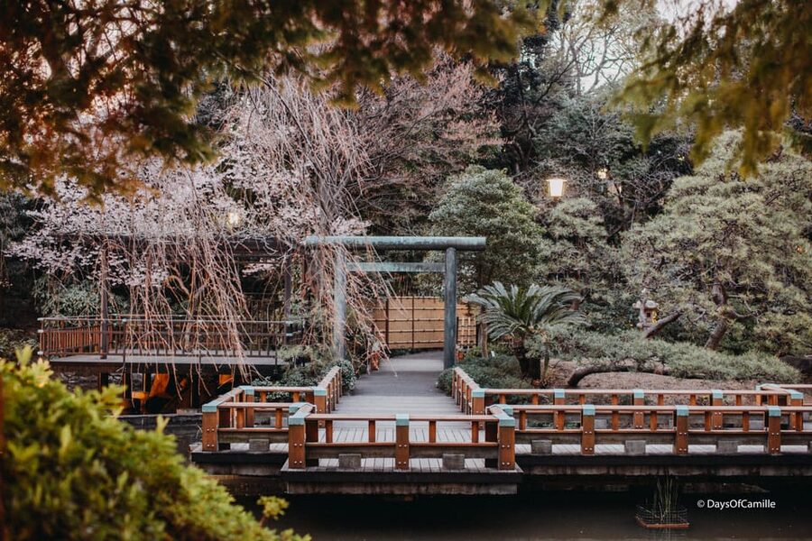 Tokyo, half day : private tour with an expert ! - What the $82 price really covers