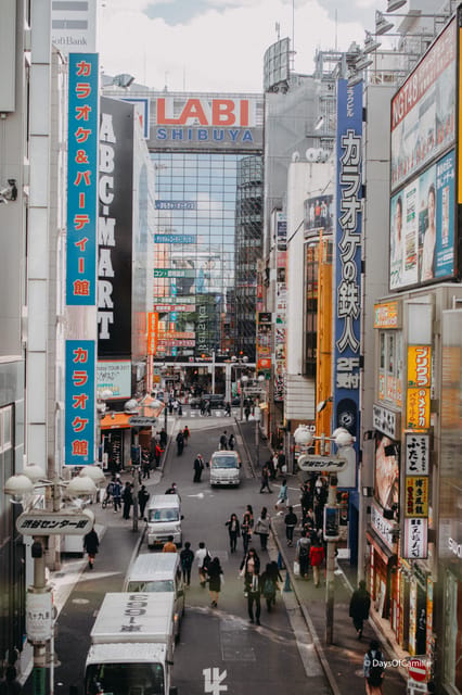 Tokyo, half day : private tour with an expert ! - FAQ
