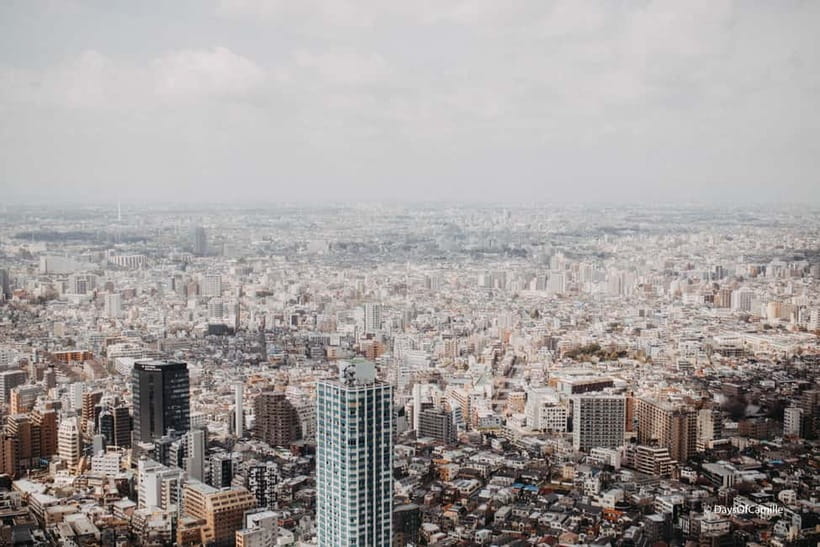Tokyo, half day : private tour with an expert ! - Senso-ji brings the tour back to Asakusa