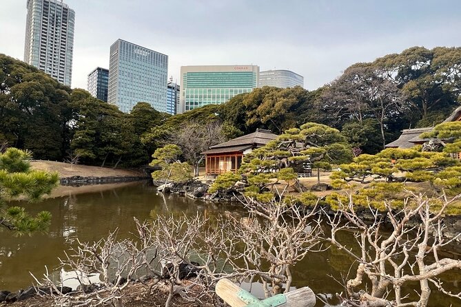 Tokyo: Hama-rikyu Gardens tour with Japanese Tea & Sweets - Why Hama-rikyu works so well for a short Tokyo outing