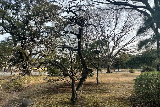 Tokyo: Hama-rikyu Gardens tour with Japanese Tea & Sweets - Is $85.84 a fair price?