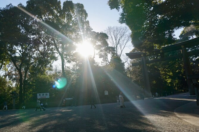 Tokyo: Harajuku Meiji Shrine to Shibuya Crossing Guided Tour - What the small group changes