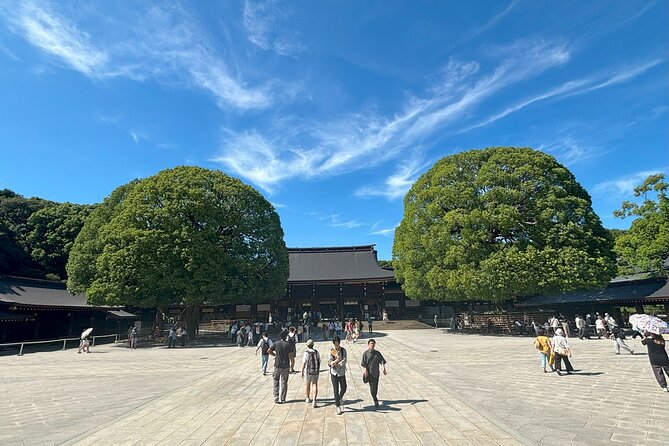 Tokyo Harajuku Walking Tour Meiji Jingu Yoyogi Park and More - Should you book the Harajuku walking tour?