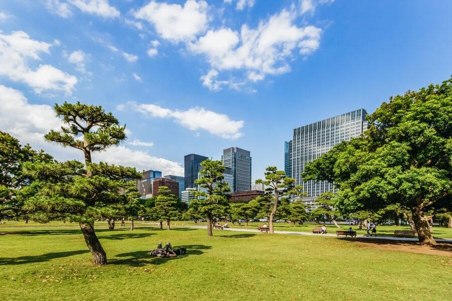 Tokyo: Hop-On Hop-Off Sightseeing Bus Ticket - How to plan one day or two