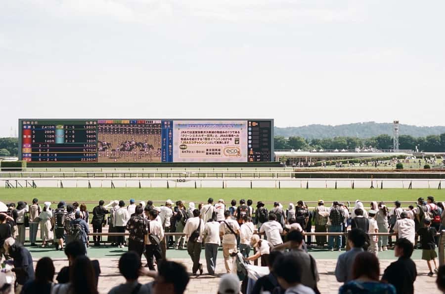 Tokyo: Horse Racing Tour with Local Fan - Why Japanese horse racing makes a good Tokyo outing