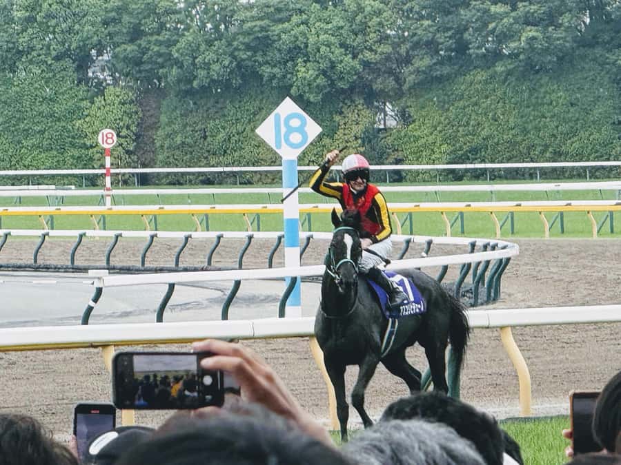 Tokyo: Horse Racing Tour with Local Fan - Four possible racecourses, four different outings