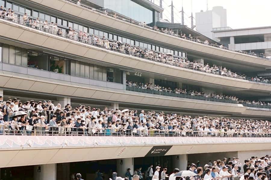 Tokyo: Horse Racing Tour with Local Fan - Practical advice for making the day work