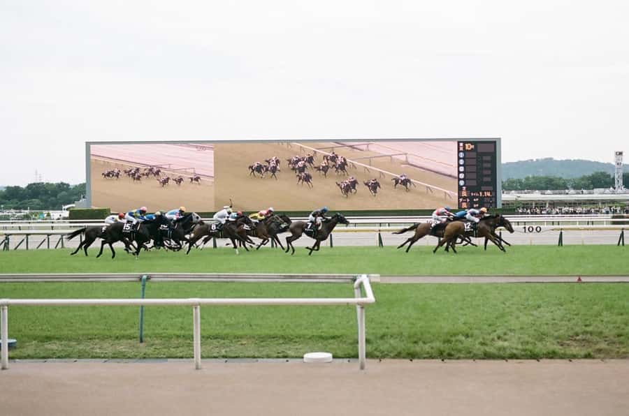 Tokyo: Horse Racing Tour with Local Fan - Meeting Eito and getting through the entrance
