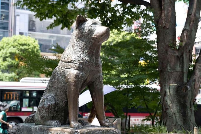Tokyo: Iconic City Tour – Skytree, Shibuya & Imperial Palace - Senso-ji and the old streets of Asakusa