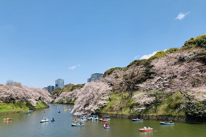 Tokyo Imperial Palace and Heritage of Edo Castle Private Tour - Who will get the most from this tour