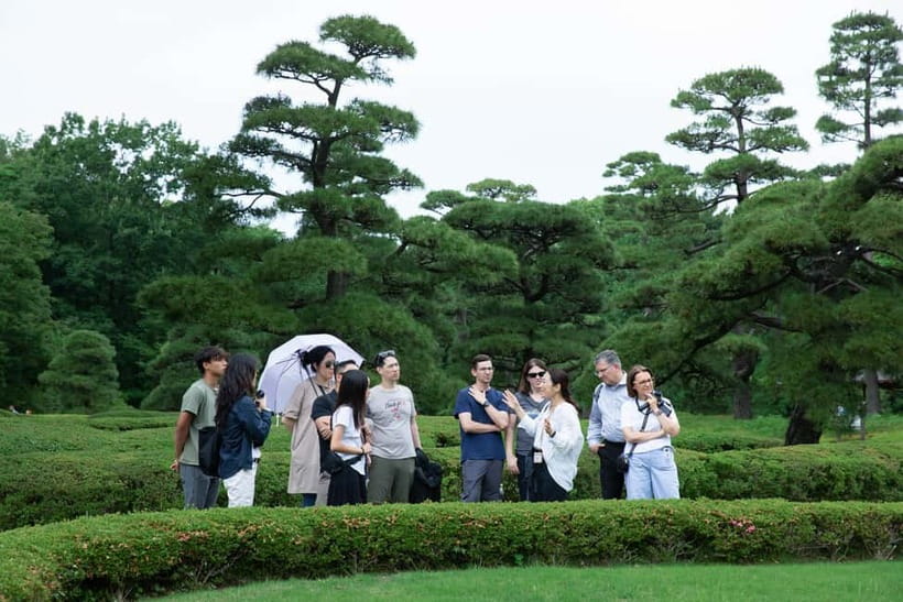 Tokyo: Imperial Palace East Gardens Walking Tour - Weather, pace, and accessibility