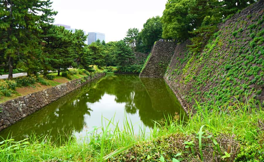 Tokyo: Imperial Palace Japanese History Walking Tour - Weather, pace, and physical demands
