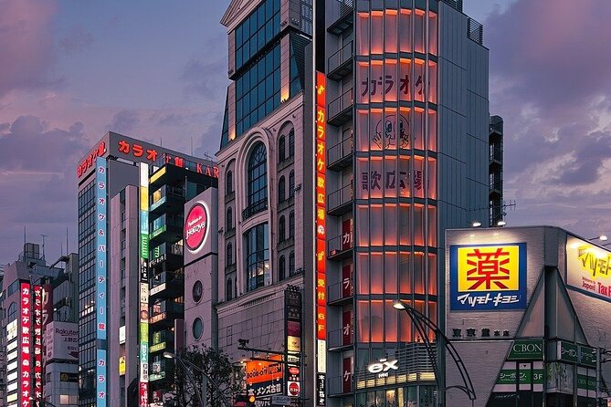 Tokyo in a Day : Private Tour to Shrine, Temples, Towers &Culture - What the private vehicle changes