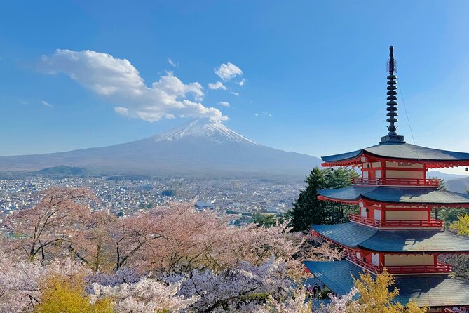 Tokyo: Instagram-Worthy Mt Fuji & Lake Kawaguchiko Day Trip - The short Hikawa Clock Shop photo stop