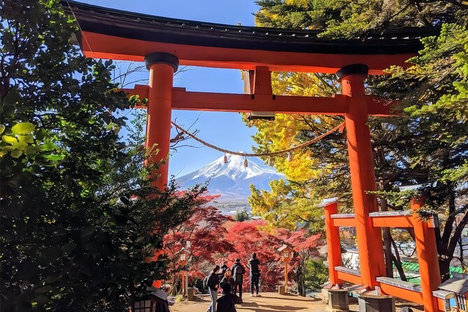 Tokyo: Instagram-Worthy Mt Fuji & Lake Kawaguchiko Day Trip - Why weather matters more than the schedule