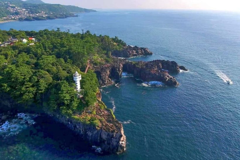 Tokyo:Izu Penisula Train Mt Omuro, Capybara Sightseeing Trip - The 25-minute Izu Ocean Train